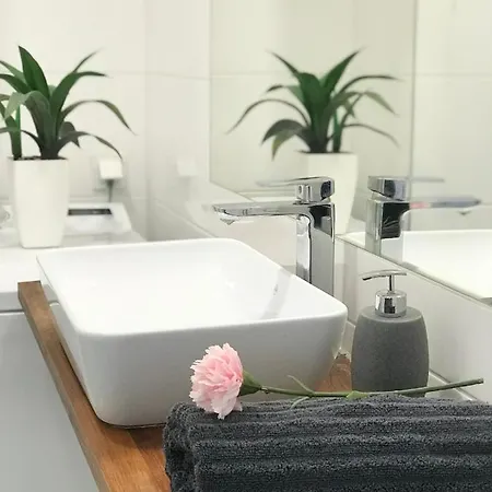 Appartement Czechowska Luxury