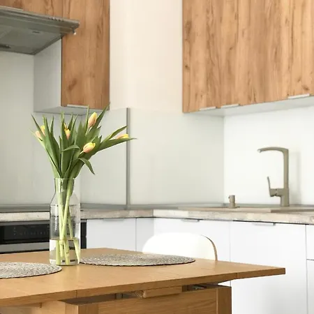 Apartament Czechowska Luxury Lublin
