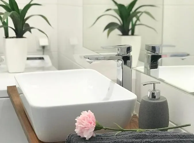 Apartment Czechowska Luxury