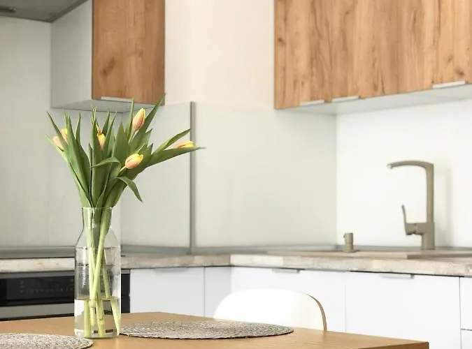 Apartment Czechowska Luxury Lublin