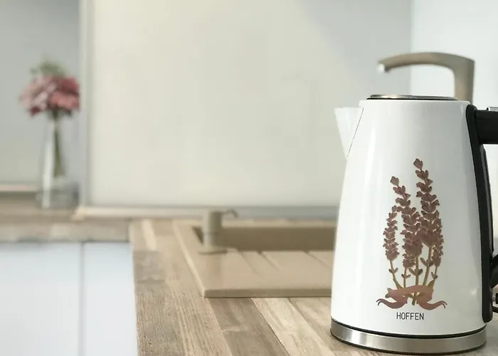 Czechowska Luxury Apartment *